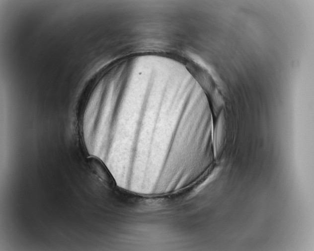 X0000091571453200709171049