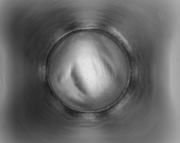 X0000091571457200709171049