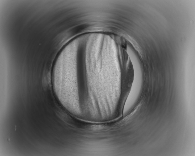 X0000091571465200709171049