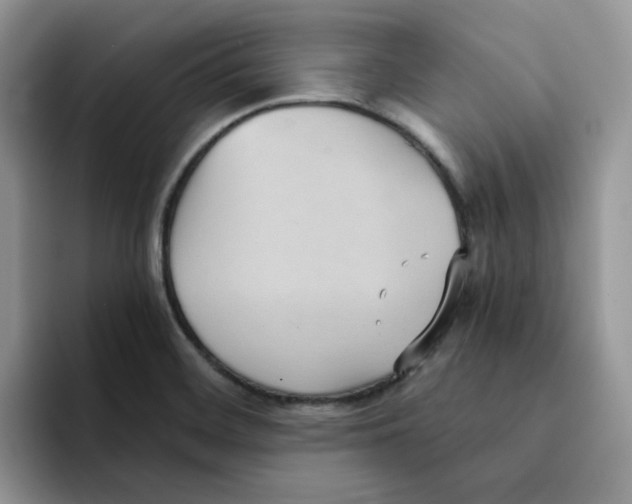 X0000091571468200709171048