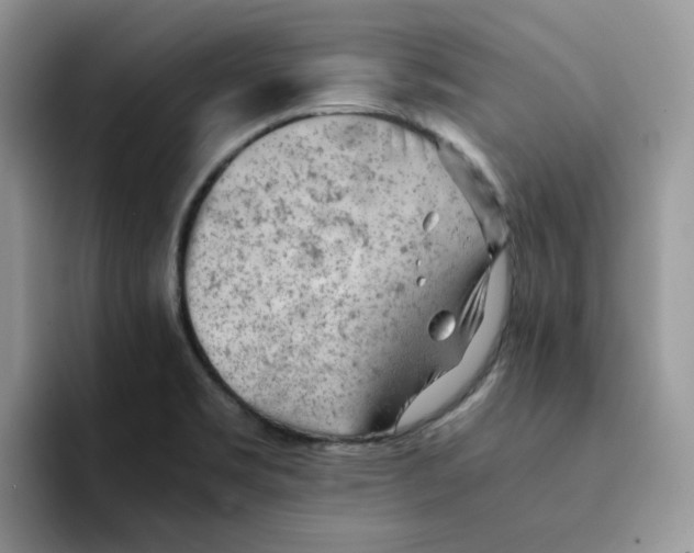 X0000091571469200709171048