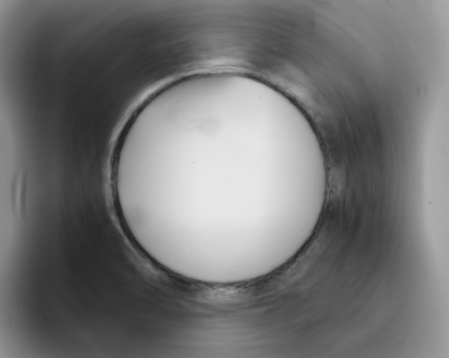 X0000091571470200709171048