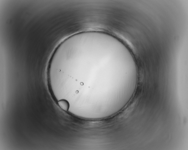 X0000091571471200709171048