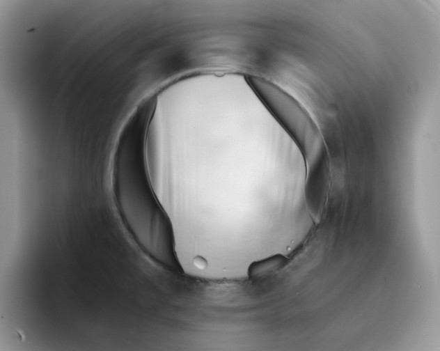 X0000091571477200709171048