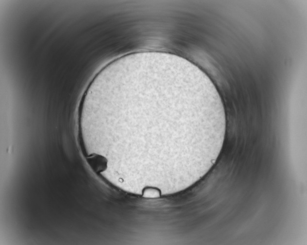 X0000091571479200709171048