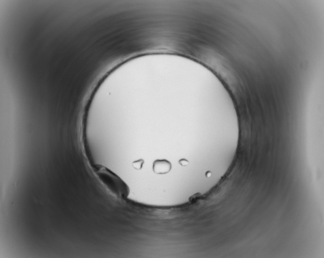 X0000091571480200709171048