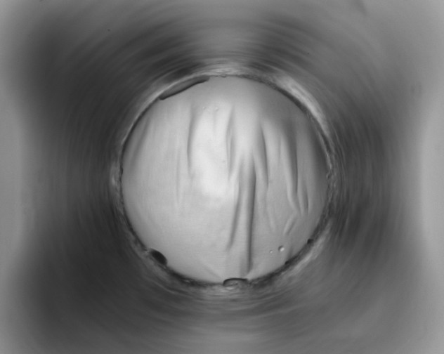 X0000091571481200709171048