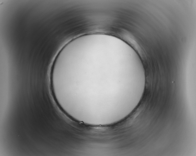 X0000091571483200709171048