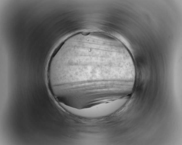 X0000091571485200709171048