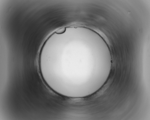 X0000091571486200709171048