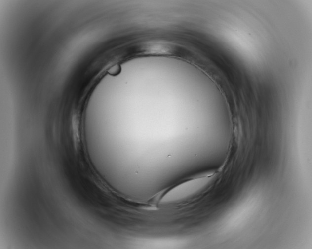 X0000091571487200709171048