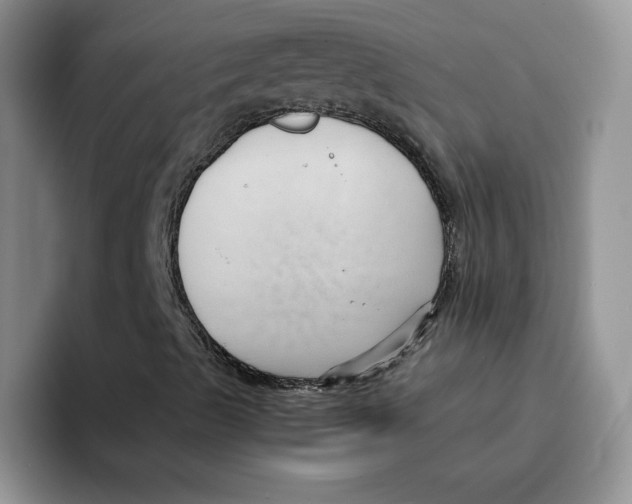 X0000091571489200709171048