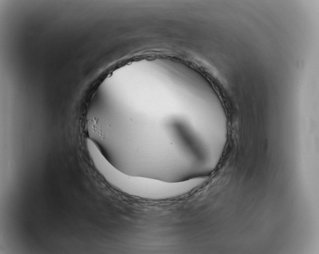 X0000091571496200709171048