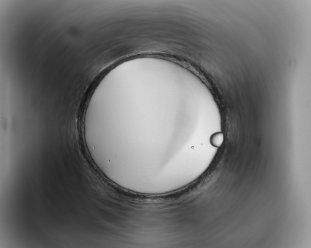 X0000091571497200709171048