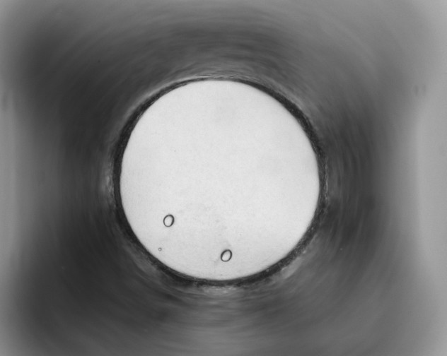 X0000091571498200709171048