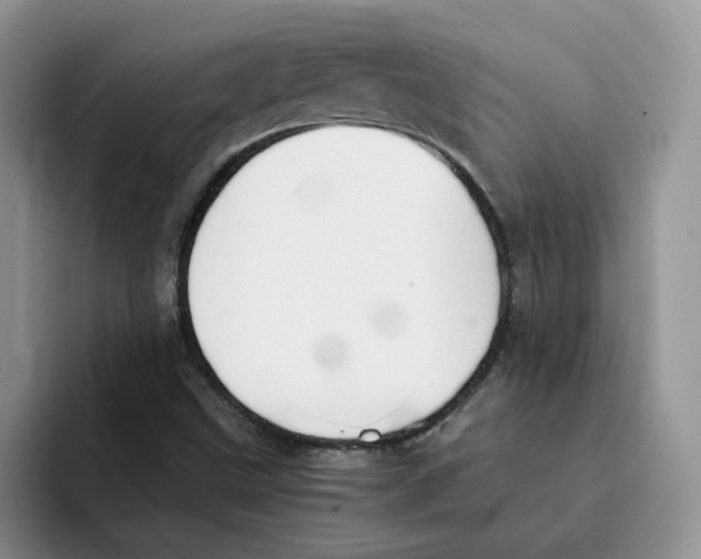 X0000091571499200709171048