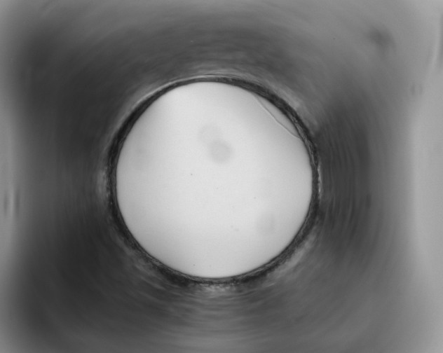 X0000091571501200709171048