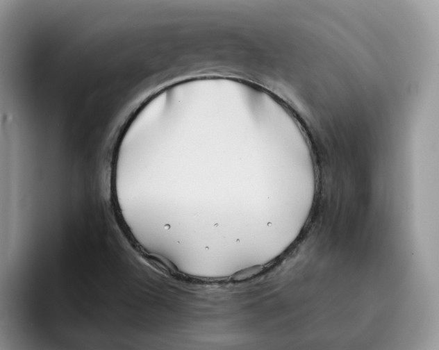 X0000091571504200709171048