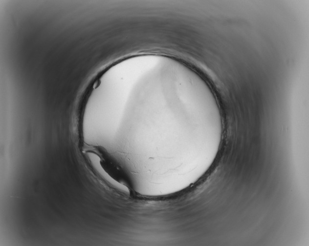 X0000091571506200709171048