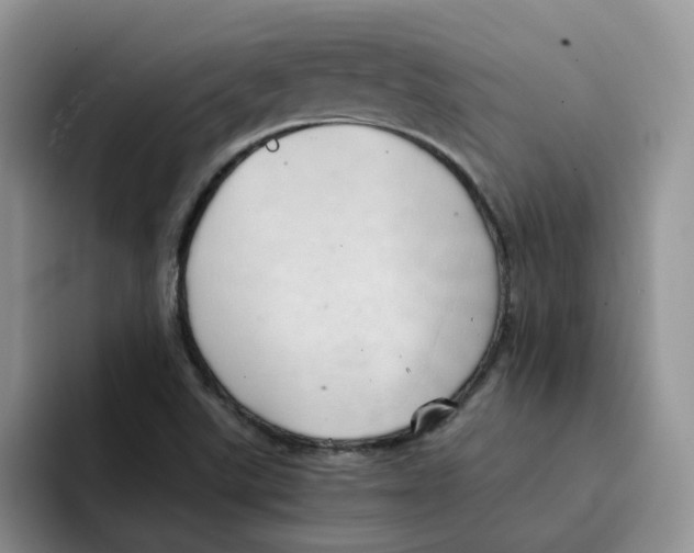 X0000091571507200709171048