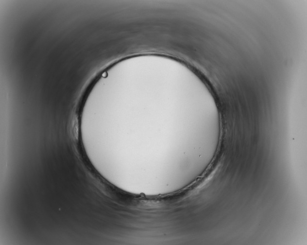 X0000091571509200709171048