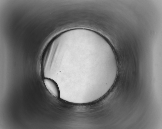 X0000091571511200709171048