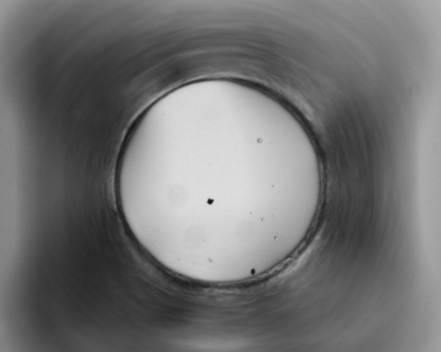 X0000091571513200709171048