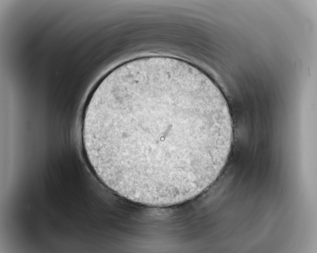 X0000091571514200709171048