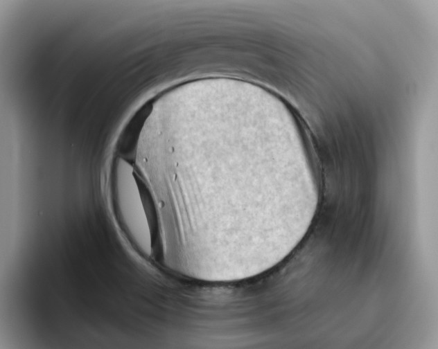 X0000091571515200709171048