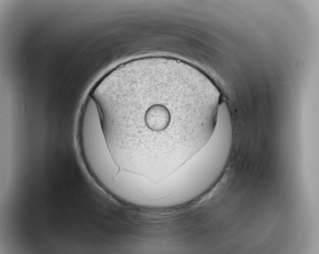 X0000091571518200709171048