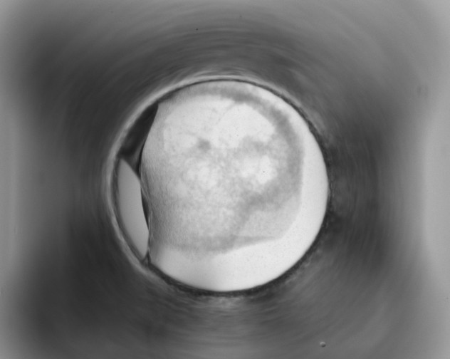 X0000091571519200709171048