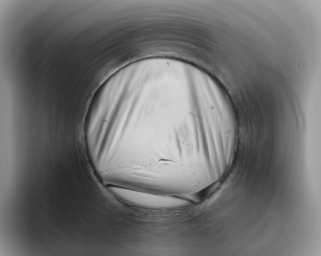 X0000091571521200709171048