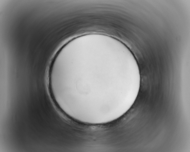 X0000091571523200709171048