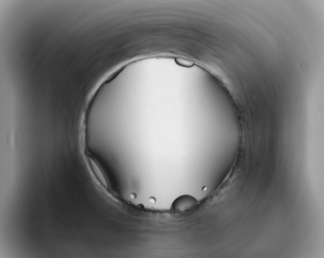 X0000091571524200709171048