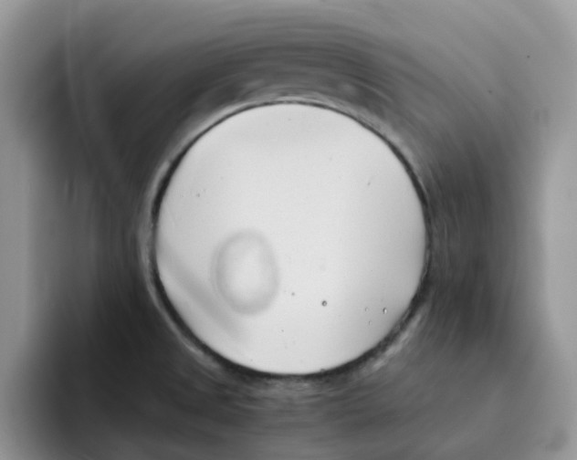 X0000091571525200709171048