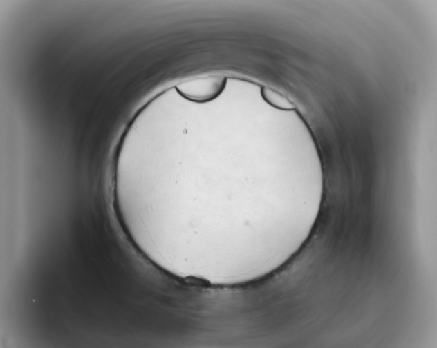 X0000091571526200709171048