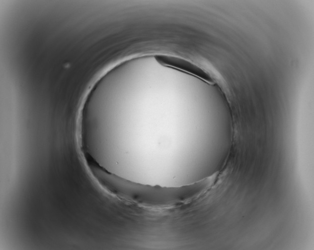 X0000091571528200709171048