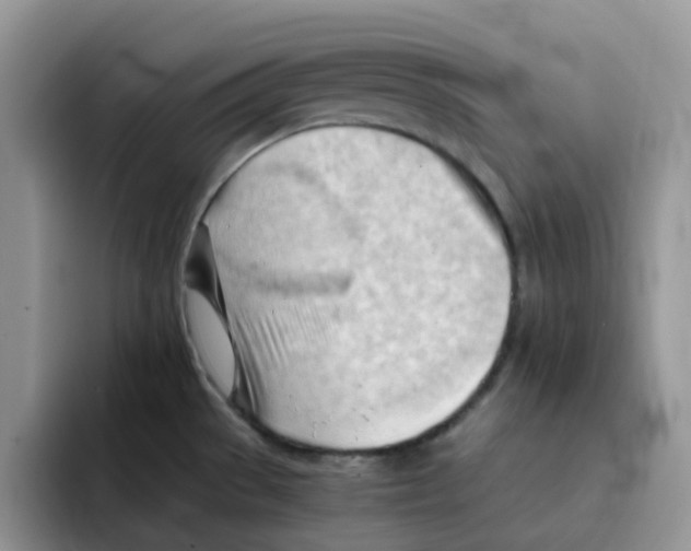 X0000091571529200709171048