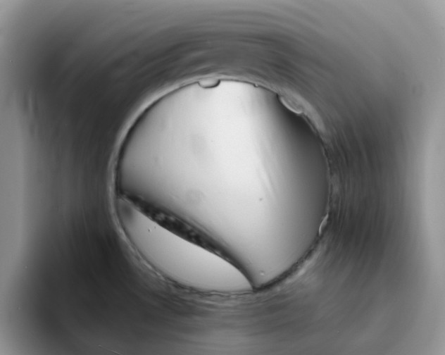 X0000091571530200709171048