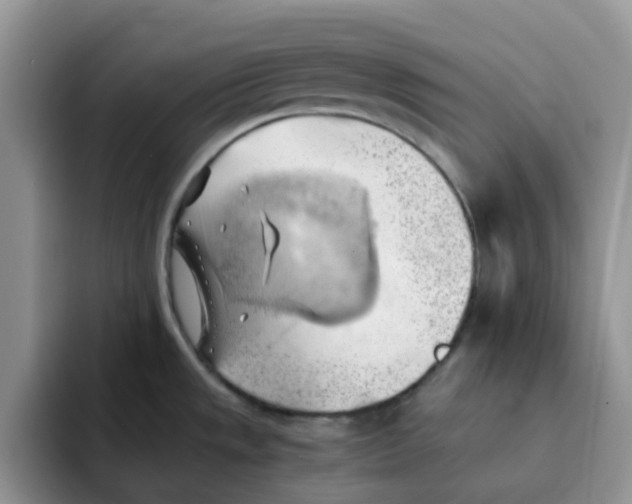 X0000091571533200709171048