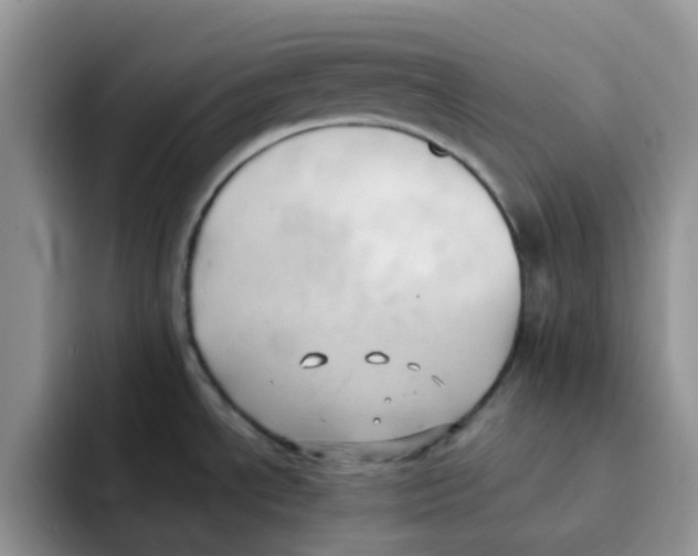 X0000091571534200709171048