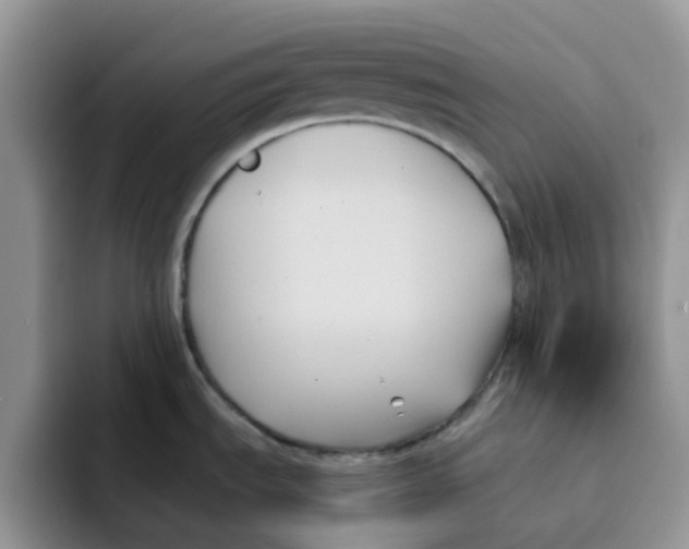 X0000091571535200709171048