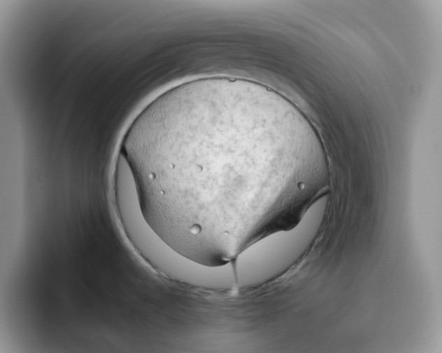 X0000091571536200709171048