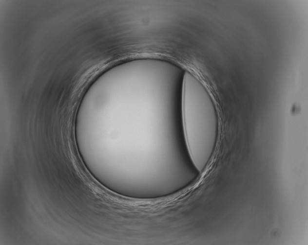 X0000091580001200708201024