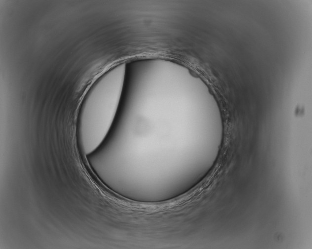X0000091580002200708201024