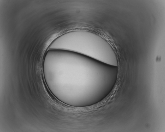 X0000091580003200708201024