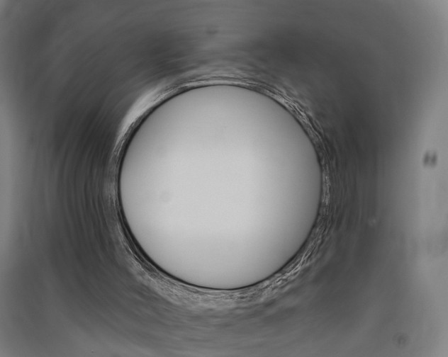 X0000091580004200708201024