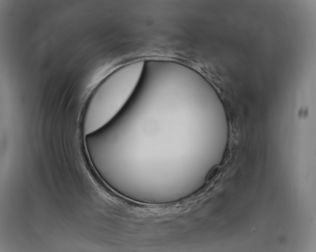 X0000091580005200708201024