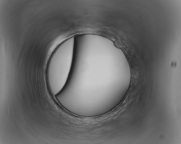 X0000091580006200708201024