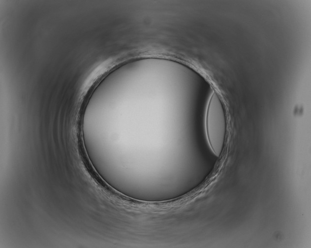 X0000091580007200708201024